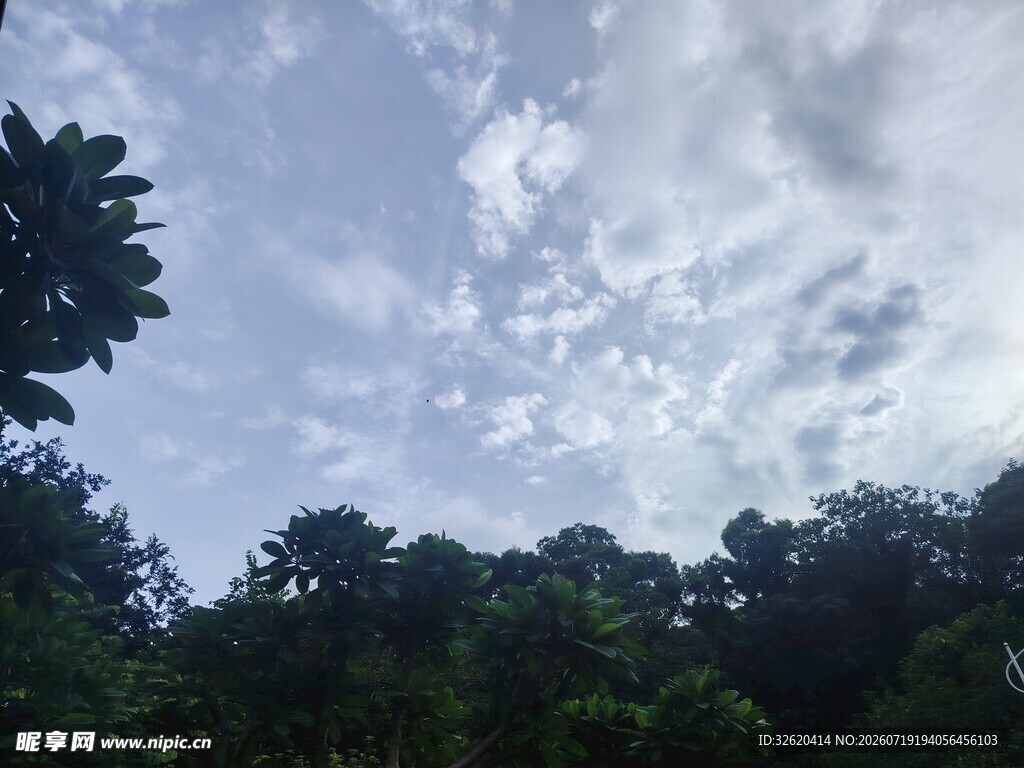 林间天空