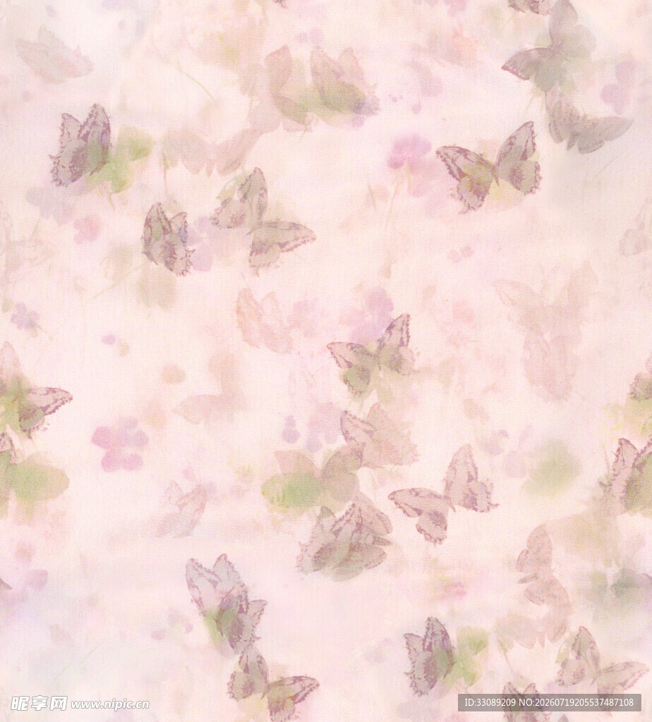 蝴蝶花