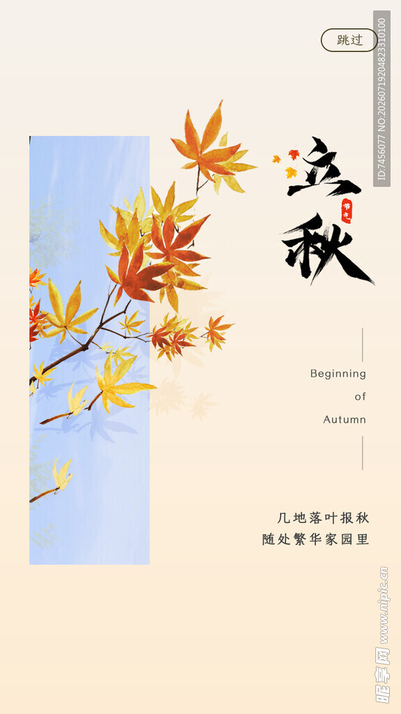 秋意浓之枫叶装饰画面