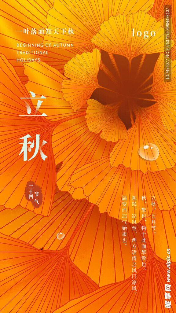 立秋时节的绚烂花卉景象