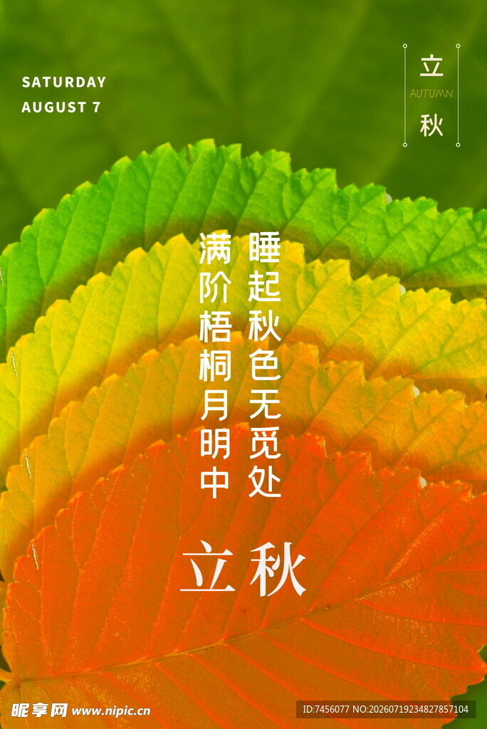立秋时节多彩自然景象