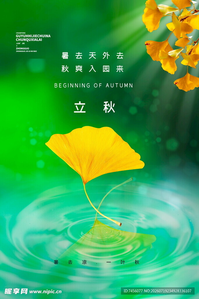 银杏落叶立秋水波画面