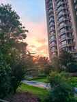 夕阳下的城市住宅景观