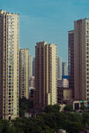 城市高楼景观