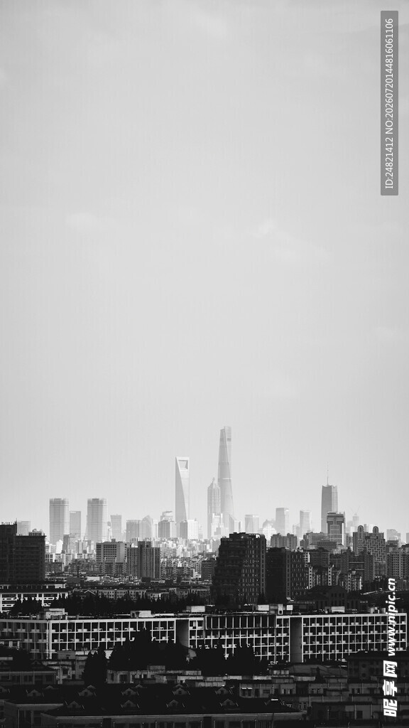 城市天际线黑白景观