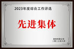 先进集体奖牌