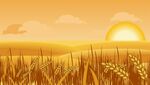 麦田日落插画