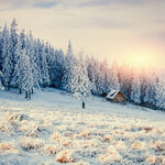 冬日雪林小屋的静谧美景