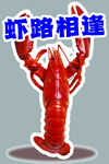 龙虾