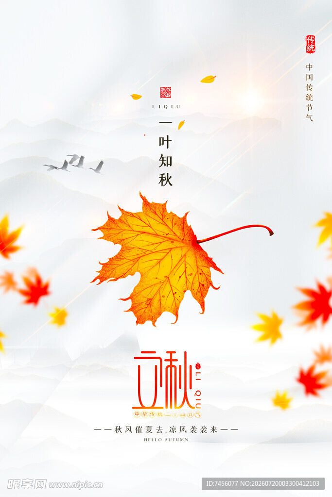 秋日枫叶邂逅白露时节