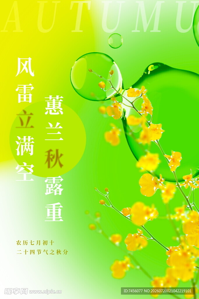 立秋荷兰秋景中的风铃草