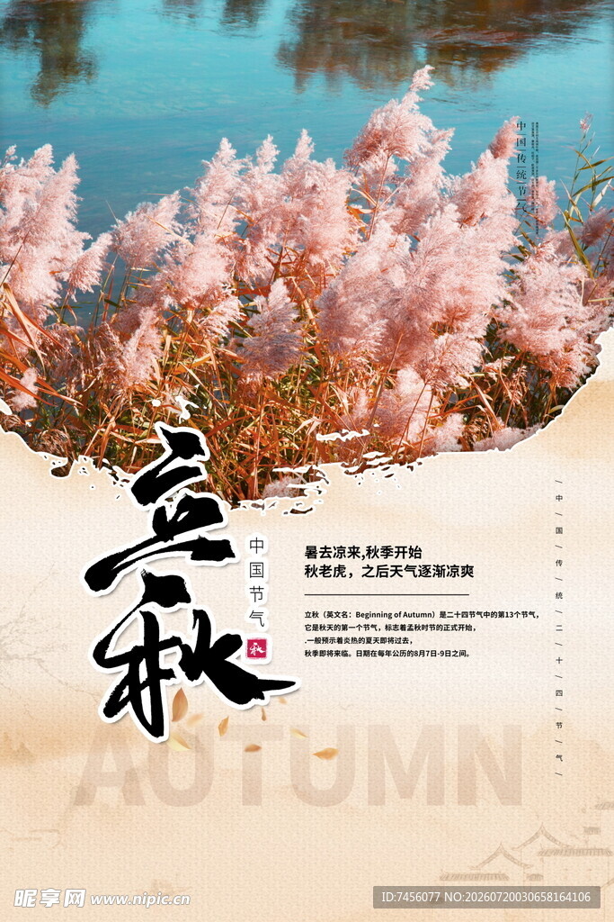 立秋海报秋日芦苇景