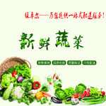 蔬菜
