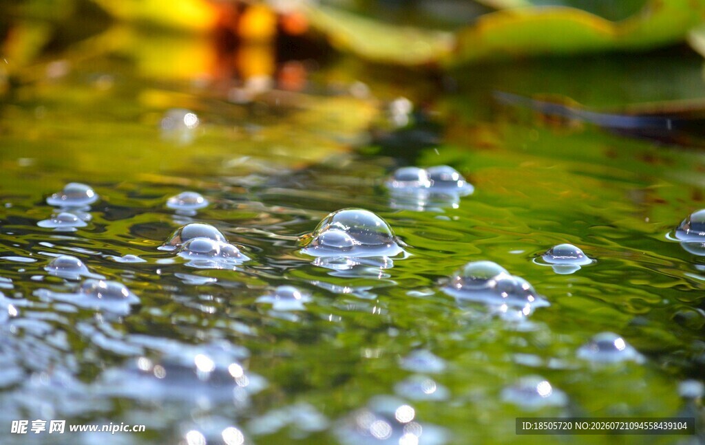 水面晶莹水珠