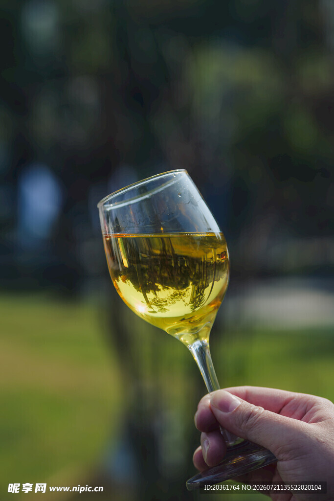 手持白葡萄酒杯特写