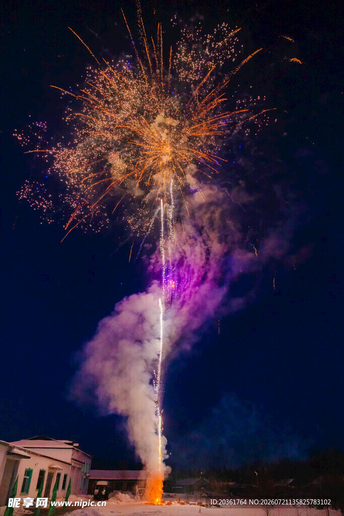 夜空下绚烂的烟花绽放