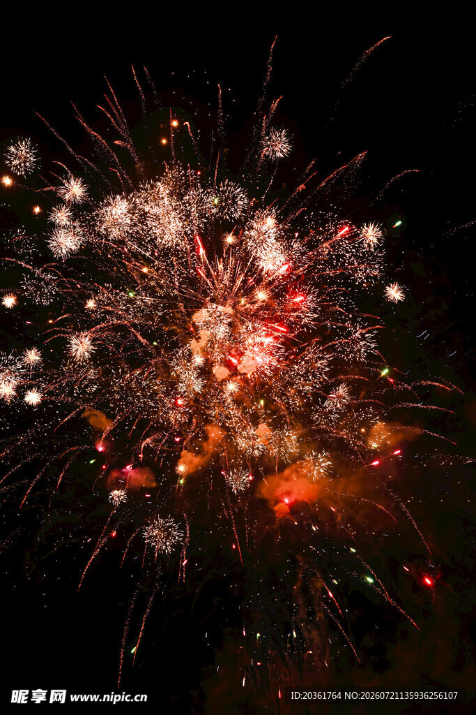 夜空中绚烂的烟花绽放