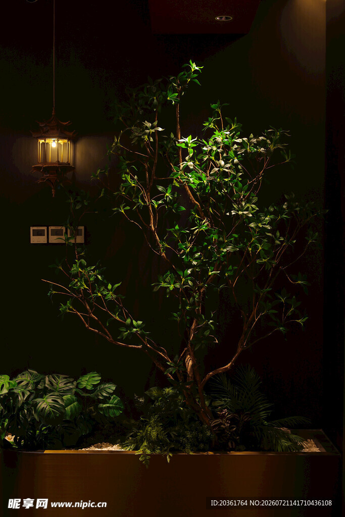 室内精致盆栽绿植景观