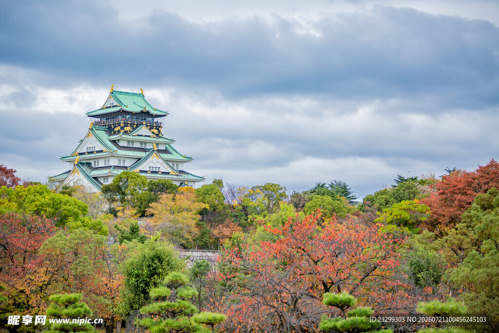 大阪城公园绚烂秋色景观
