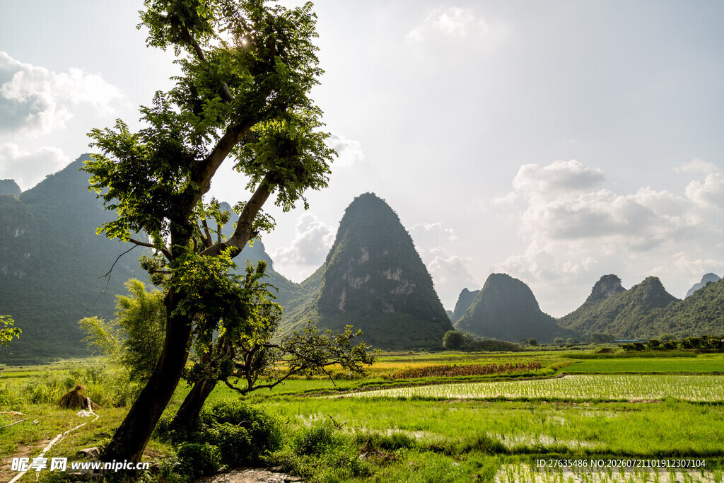 桂林山水田园风光美景