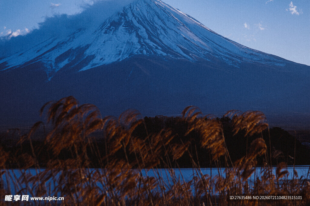 富士山下的秋日景致