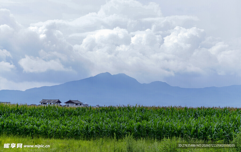 田园绿野间的远山风景