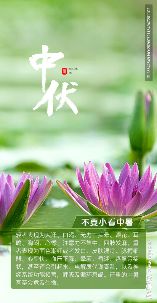 中伏