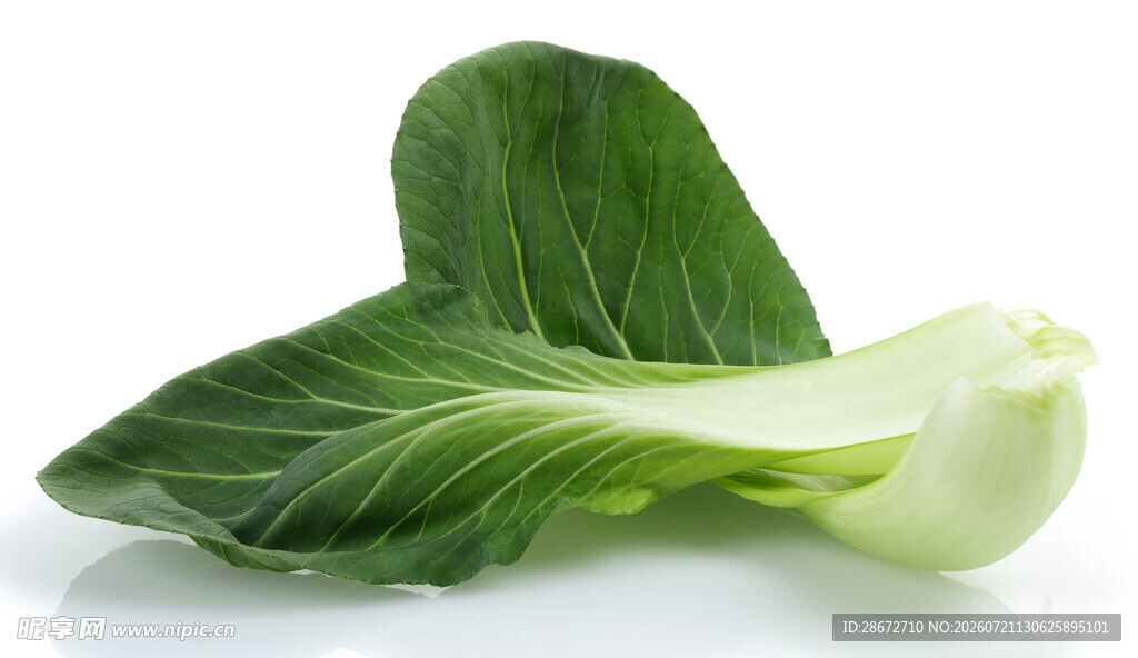 新鲜小白菜