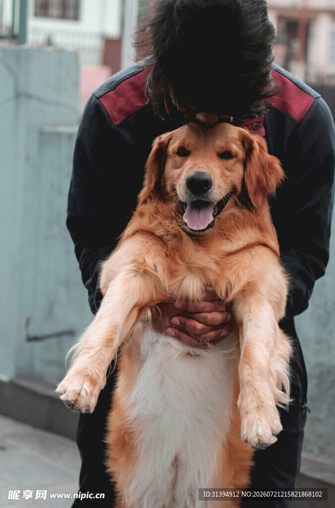 男子抱金毛犬温馨瞬间