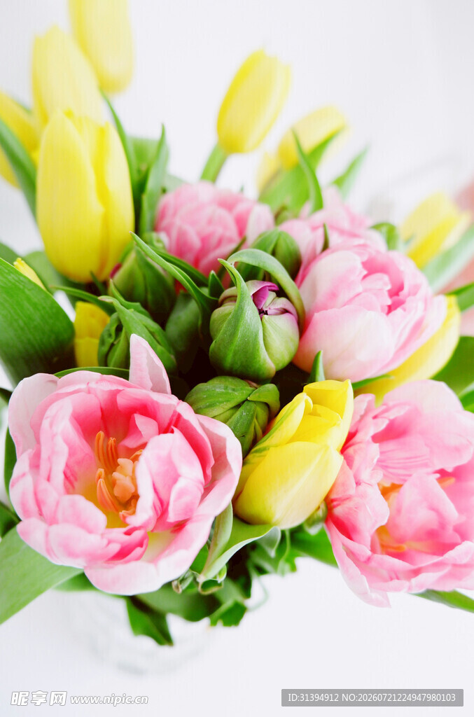 粉色黄色郁金香花束