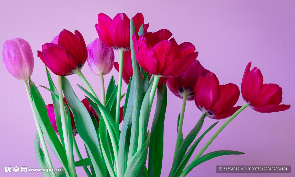 鲜艳郁金香花束