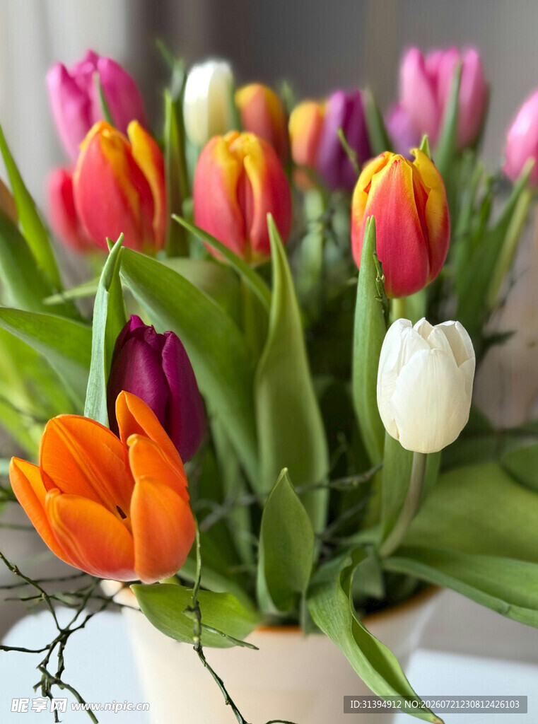 多彩郁金香花瓶插花
