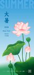 二十四节气大暑海报
