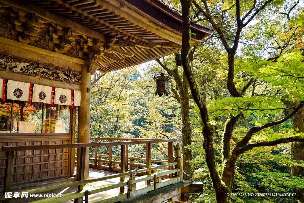 日式木屋隐于葱郁林间