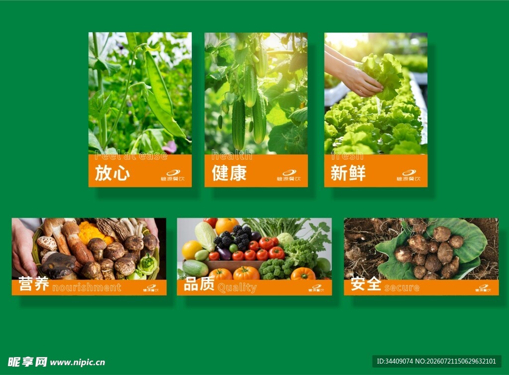 蔬菜海报