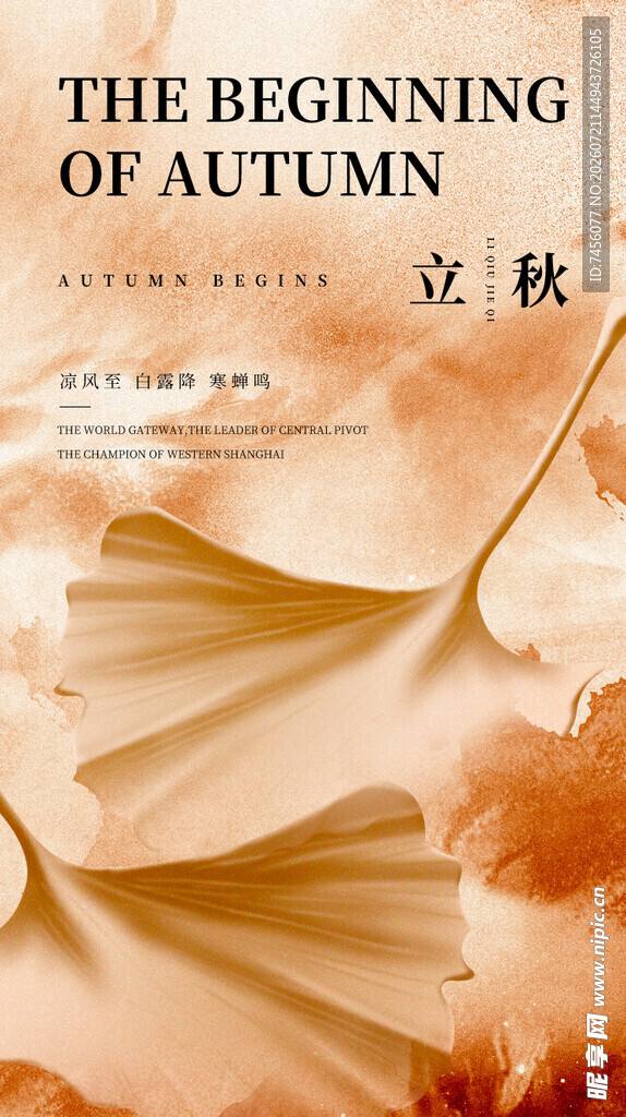 立秋时节唯美花卉画面