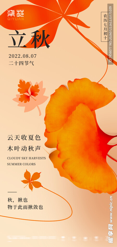 立秋时节银杏枫叶之美