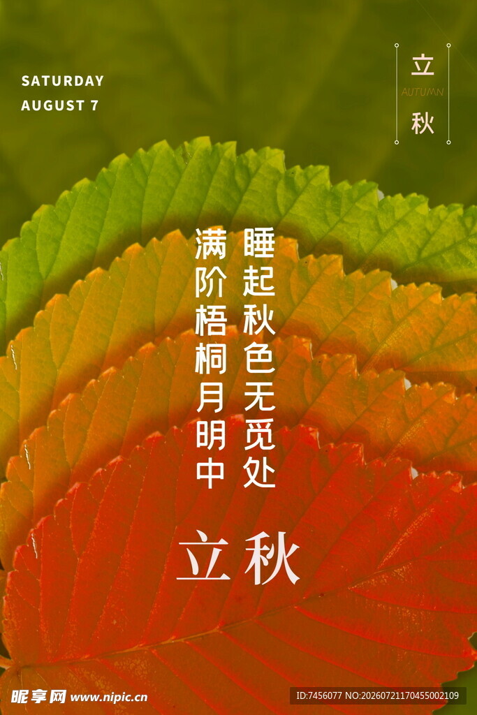 立秋时节多彩自然景观
