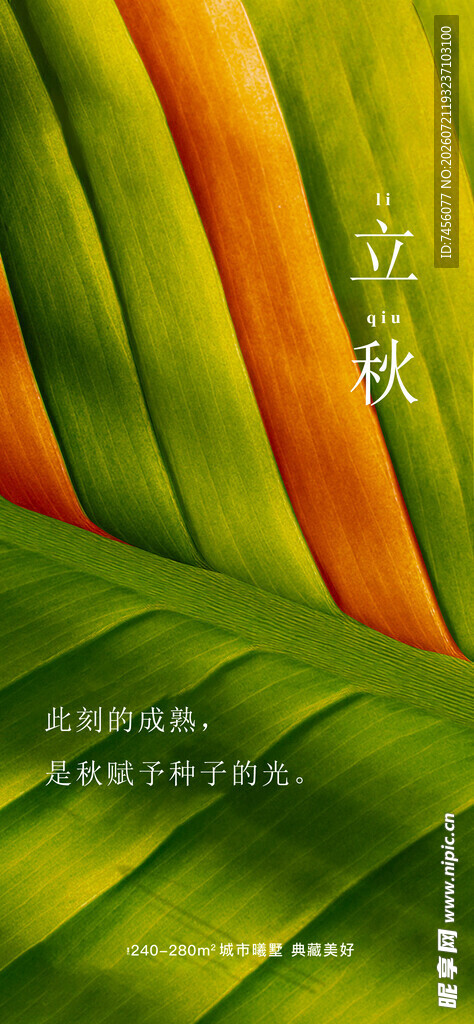 立秋翠绿叶片上的立体艺术字