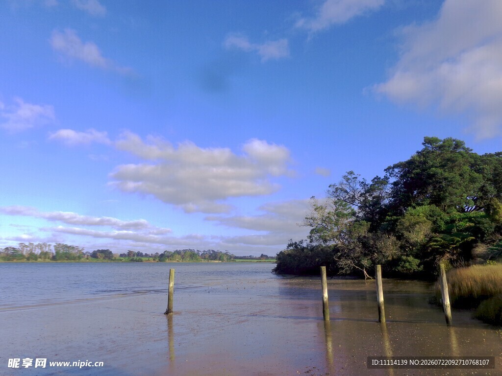 奥克兰海边风景