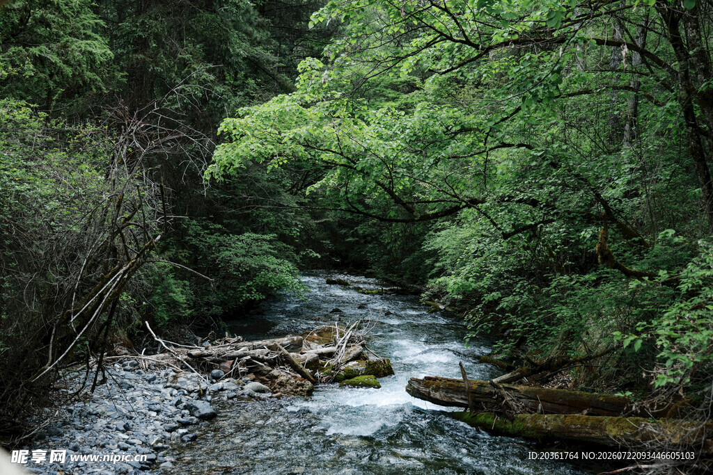 山间溪流