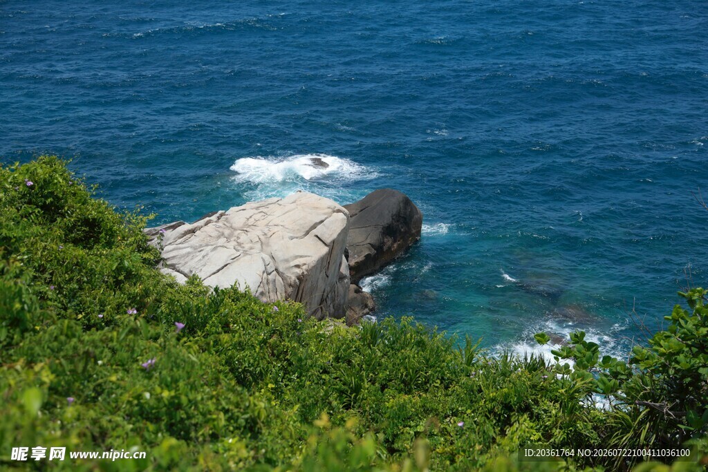 海岸绿植与礁石海景