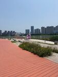 城市河畔的红色步道风景