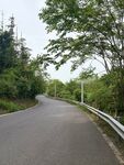 蜿蜒林间公路