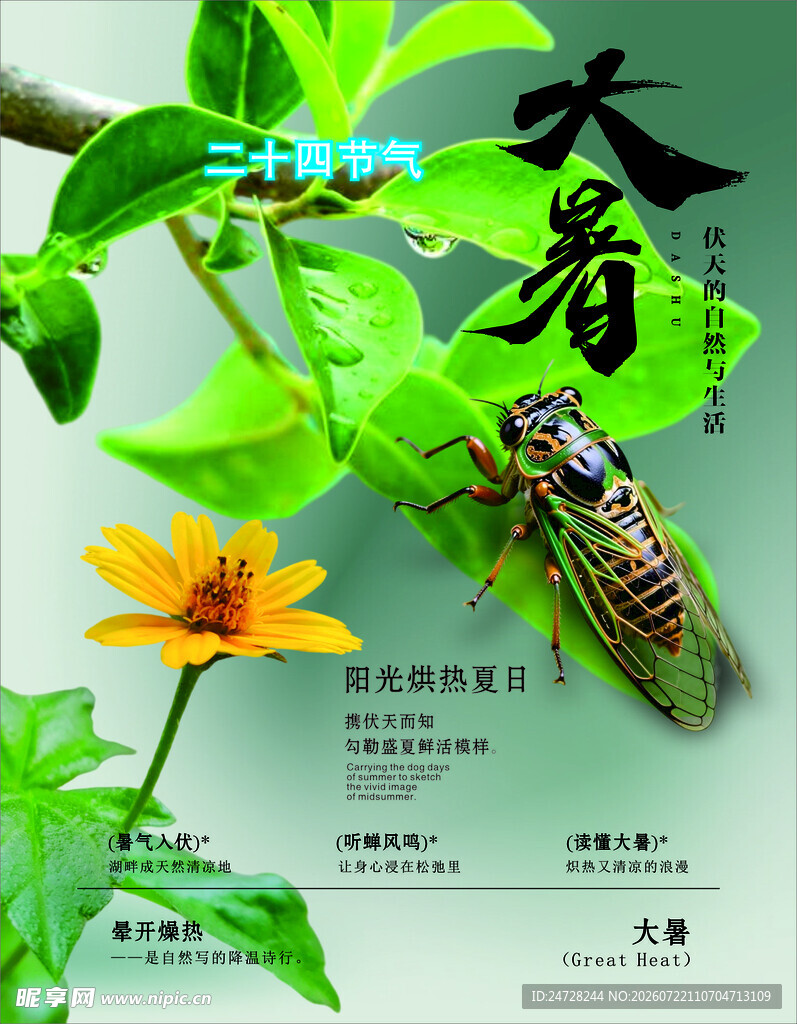 夏日蝉鸣   邂逅清新绿意
