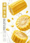 清甜脆嫩的新鲜甜糯玉米