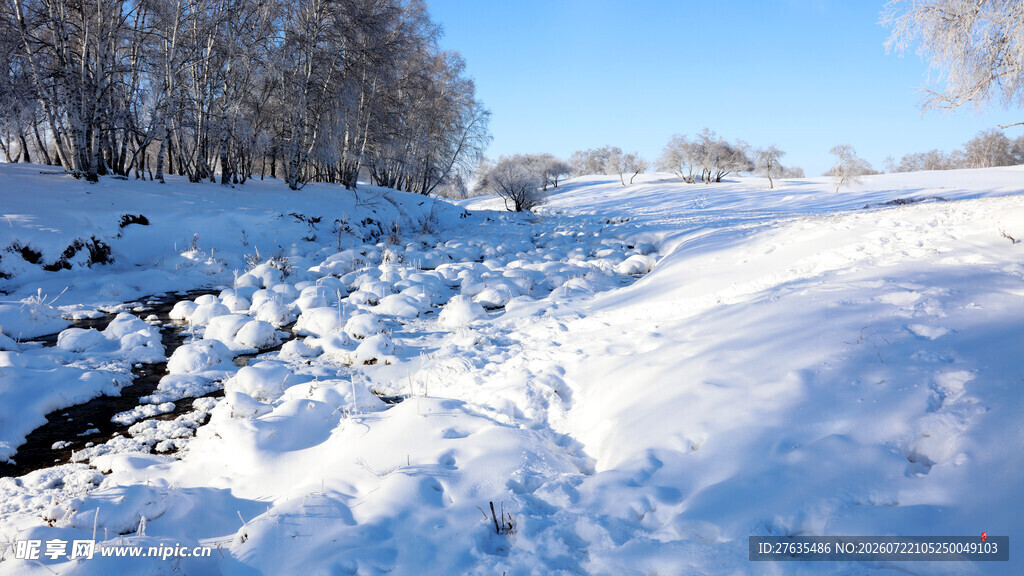 冬日雪景中的河岸风光