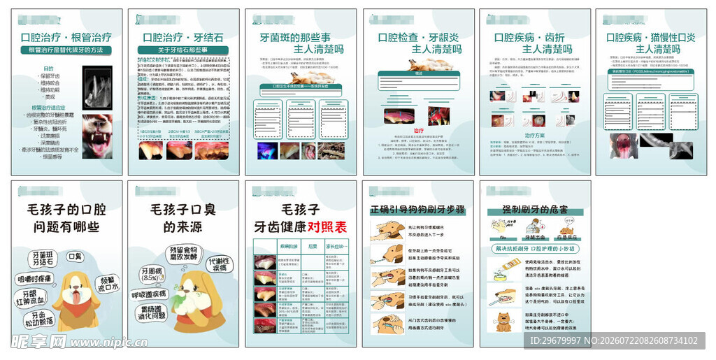 宠物诊所展板狗狗刷牙注意事项