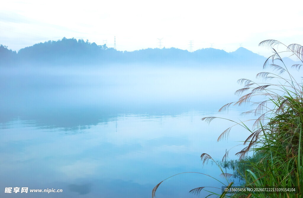 湖畔晨雾中的静谧自然景