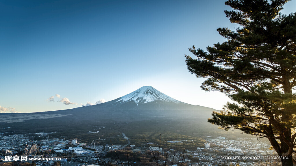 富士山美景树影相伴